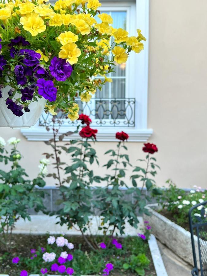 Treva Hotel Shkodër